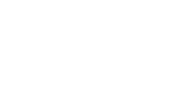ONLINE STORE